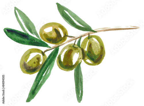 watercolor green olives