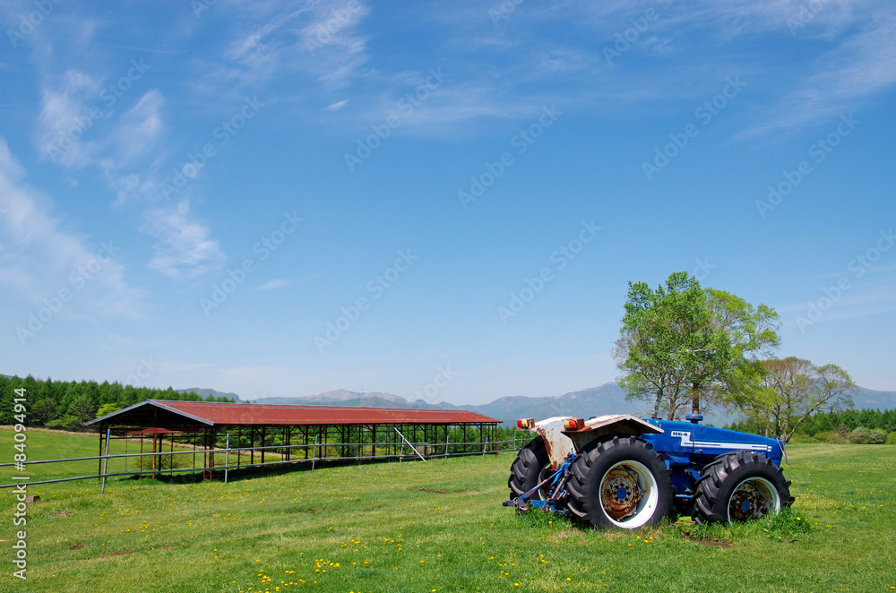 Fototapeta premium 長門牧場