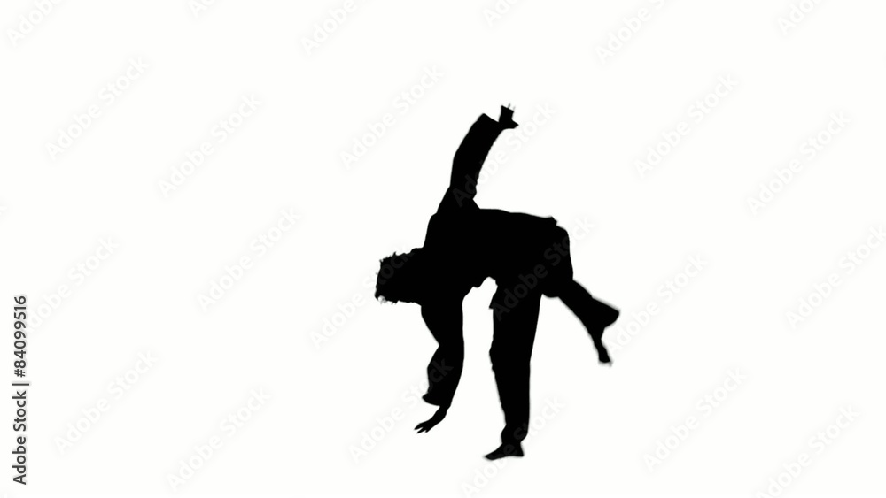 kung fu, karate, martial arts, man, Silhouette, Slow motion kung fu, karate, martial arts, man, Silhouette, Slow motion