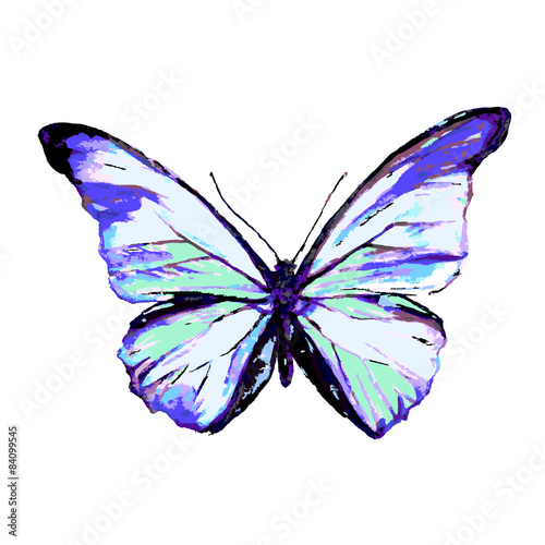 butterflies design © aboard