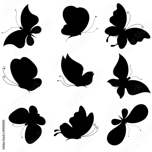 butterflies design