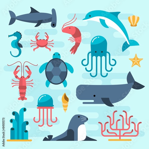 set of beautiful flat sea life