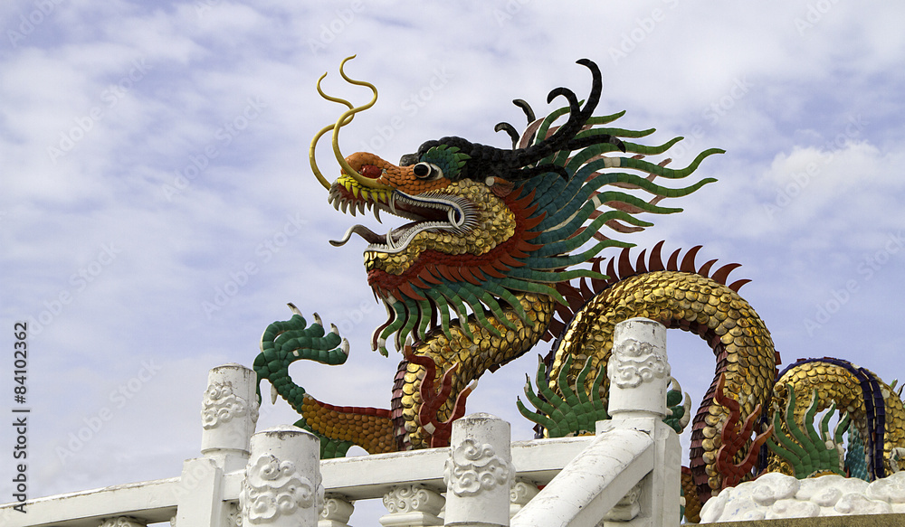 Fototapeta premium The colorful chinese dragon.