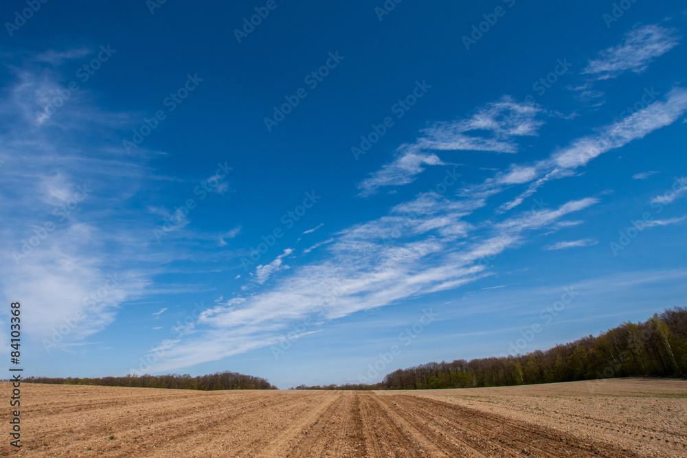 Sky over the field Sky over the field