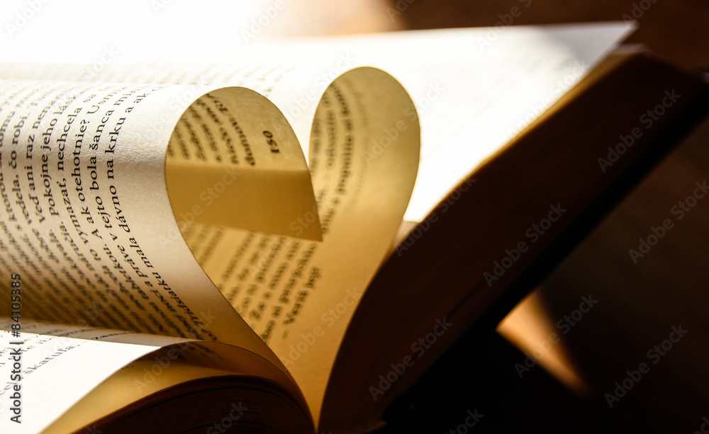 Naklejka premium i love book