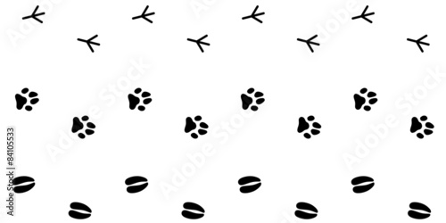 Collection Of Animal Footprint Tracks / Vector