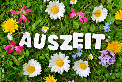 Auszeit auf Blumen Wiese