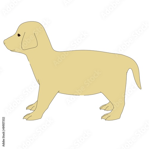 2d illustration of Retriever Puppy