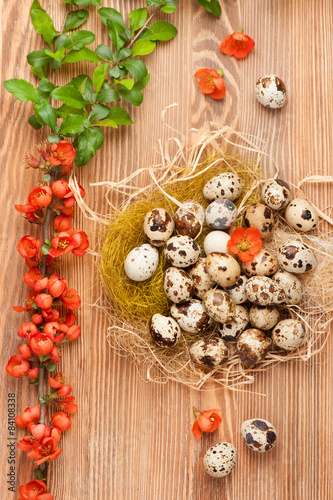 Quail eggs on light wooden background and flowers. top view