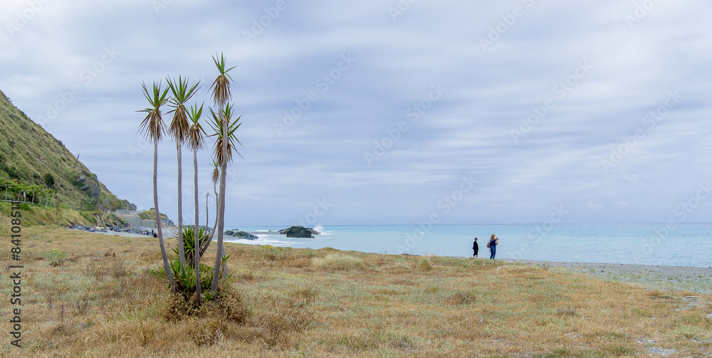 A beautiful beach on the coast of the Tyrrhenian A beautiful beach on the coast of the Tyrrhenian