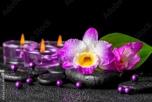 spa background of purple orchid dendrobium  green leaf Calla lil