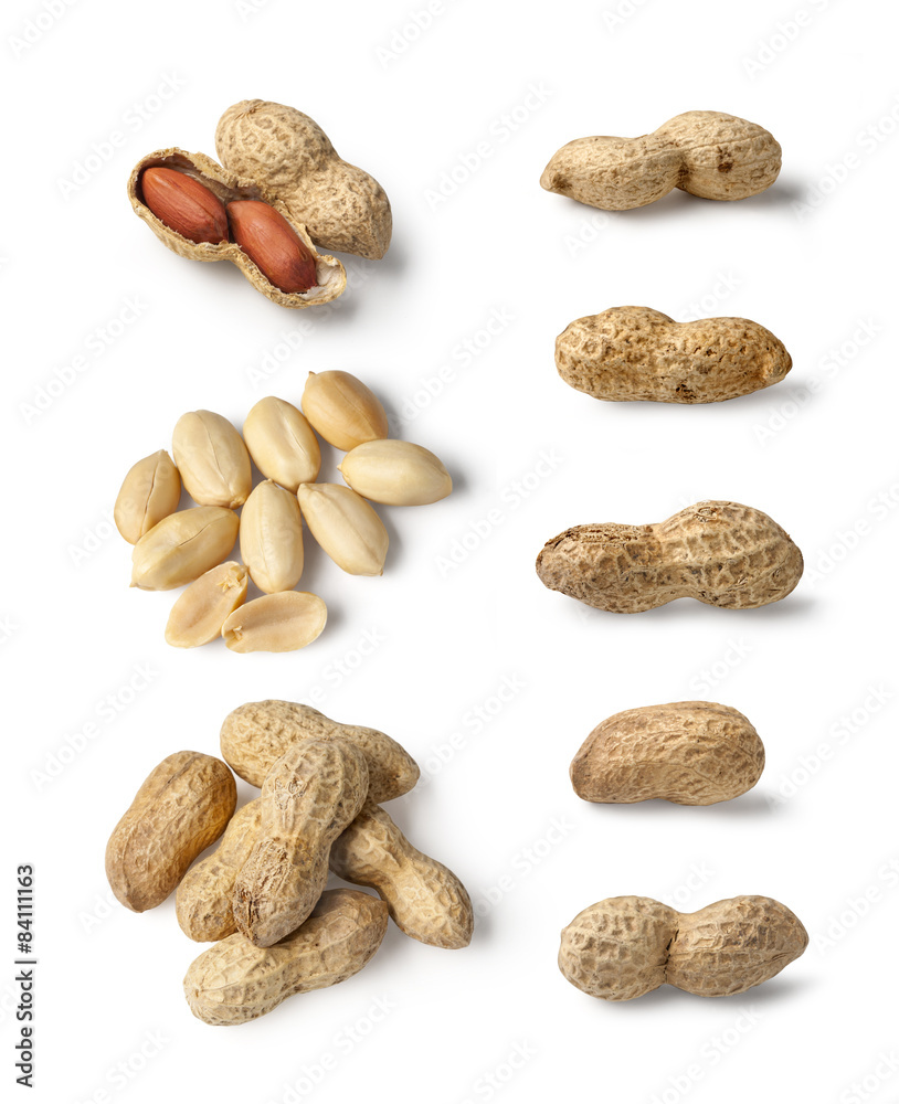 Set of Peanut isolated Set of Peanut isolated
