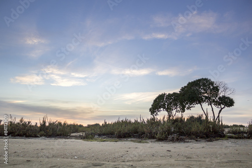Fototapeta Naklejka Na Ścianę i Meble -  Beach twilight at Ria Formosa wetlands. Algarve
