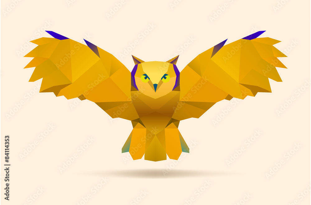Obraz premium flying owl