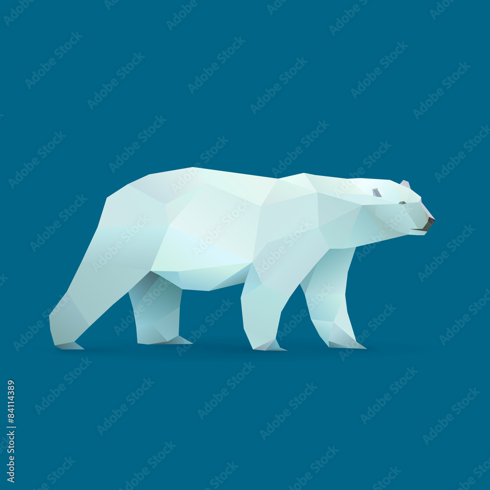 Fototapeta premium polar bear
