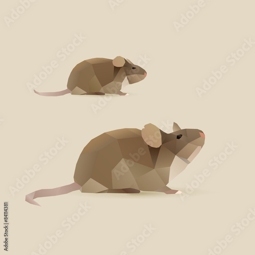 mouse