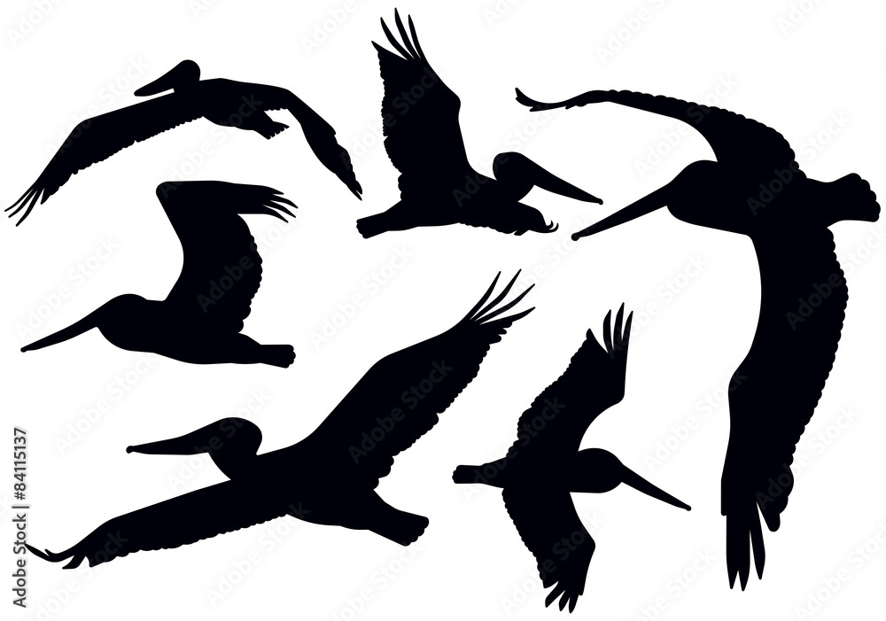 Flying Pelican Silhouettes Flying Pelican Silhouettes