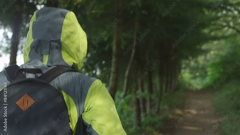 A man walking down a forest path during the day A man walking down a forest path during the day