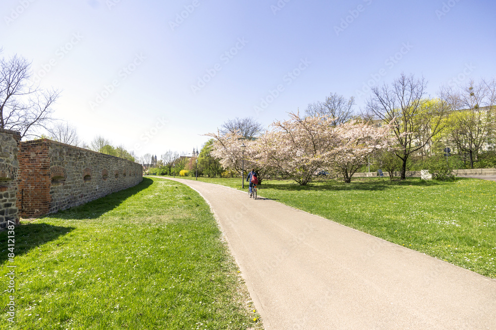 Elberadweg in Magdeburg