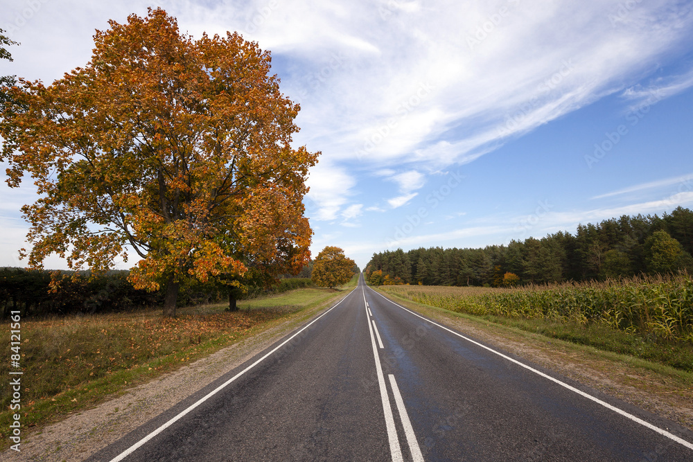 the autumn road  