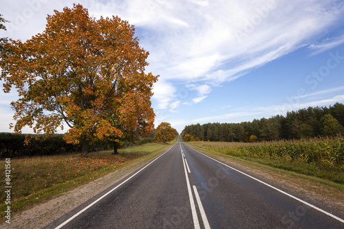 the autumn road 