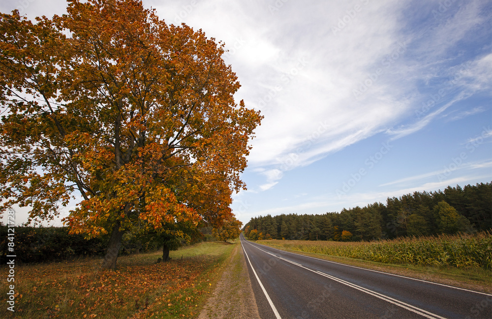 road in the fall  