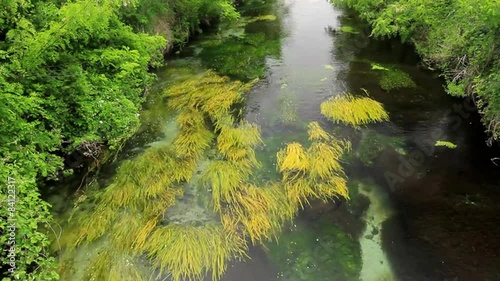 安曇野の湧水