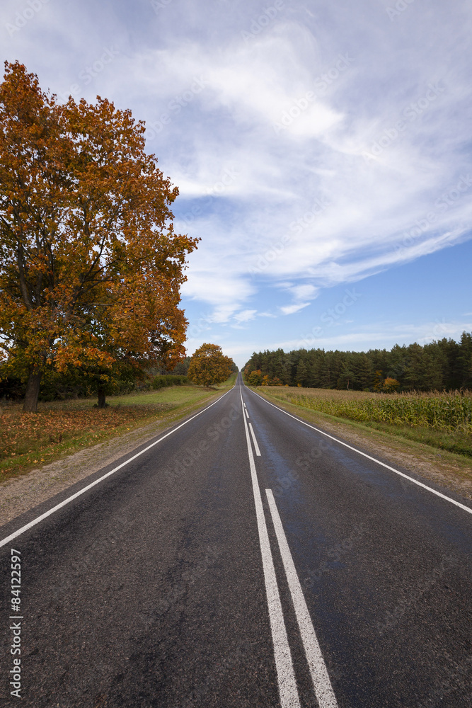 the autumn road 