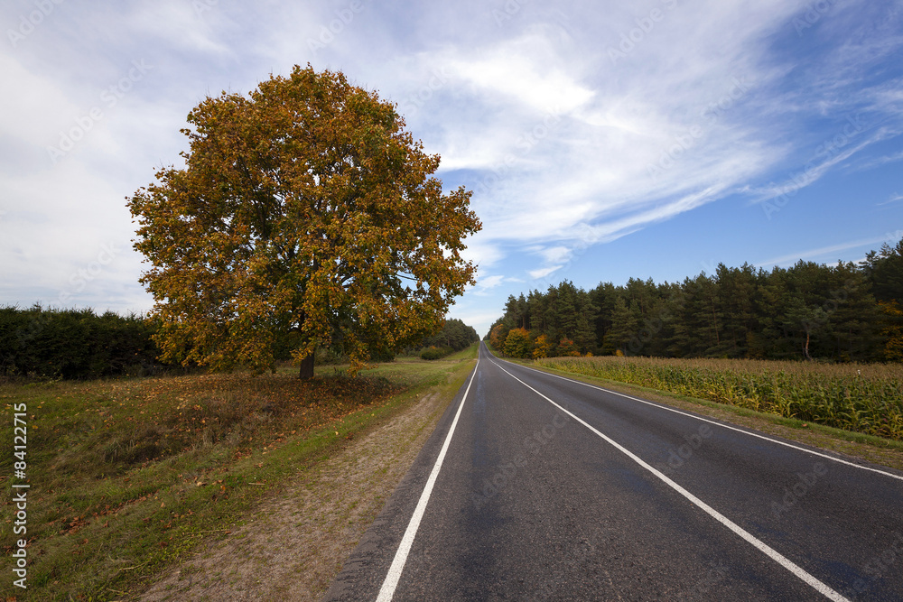 the autumn road  