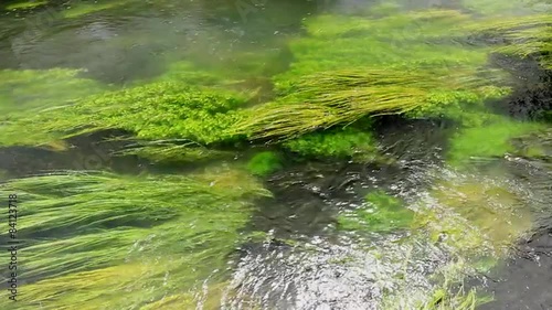 安曇野の湧水