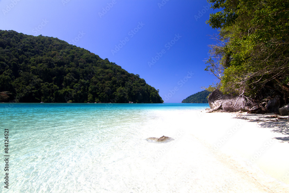 Fototapeta premium the see of Thailand