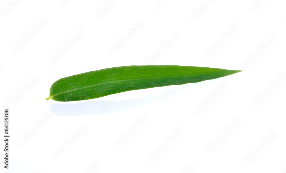 Green bamboo leaves on a white background Green bamboo leaves on a white background