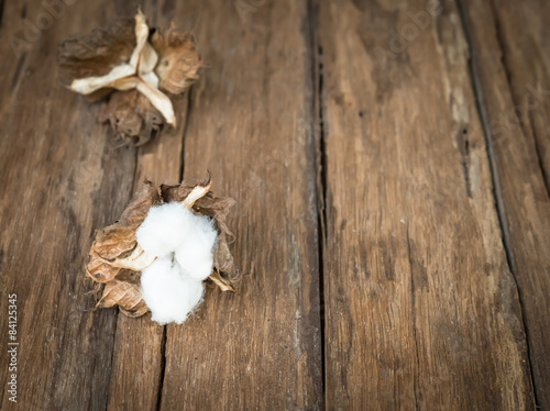 cotton flower on the wood table