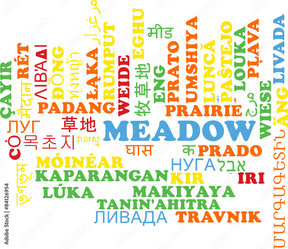 Meadow multilanguage wordcloud background concept
