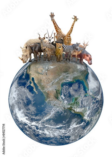 Fototapeta Naklejka Na Ścianę i Meble -  group of africa animal with planet earth