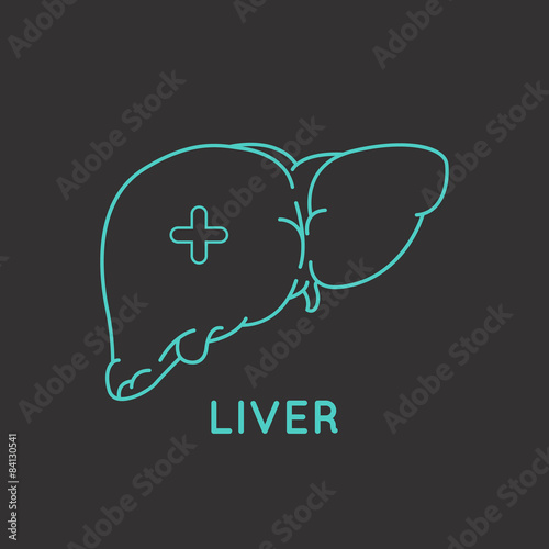 liver medical logo vector