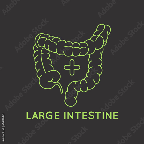 large intestine medical logo vector