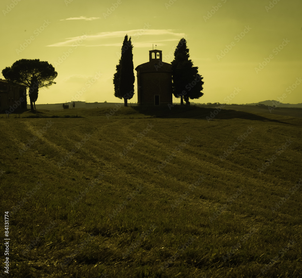 Naklejka premium toskania, panorama, winnica, val d’orcia, włochy, sierpień, cyprysy, Tuscany, vineyard, Val d'Orcia, Italy, August, cypresses