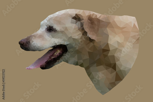 Low poly vector portrait of dog.