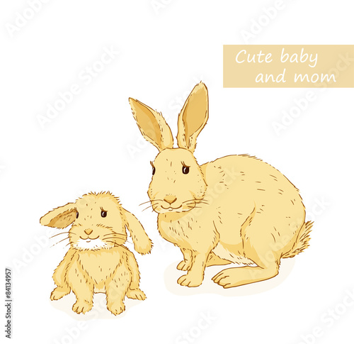 Rabbit and bunny
