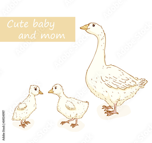Goose and gosling