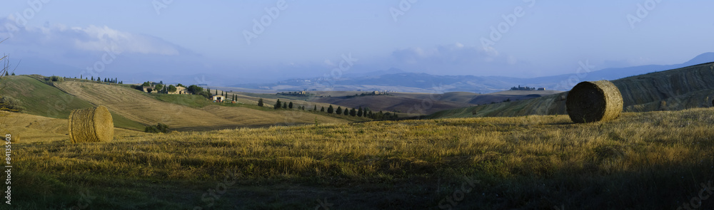 Fototapeta premium toskania, panorama, winnica, val d’orcia, włochy, sierpień, cyprysy, Tuscany, vineyard, Val d'Orcia, Italy, August, cypresses