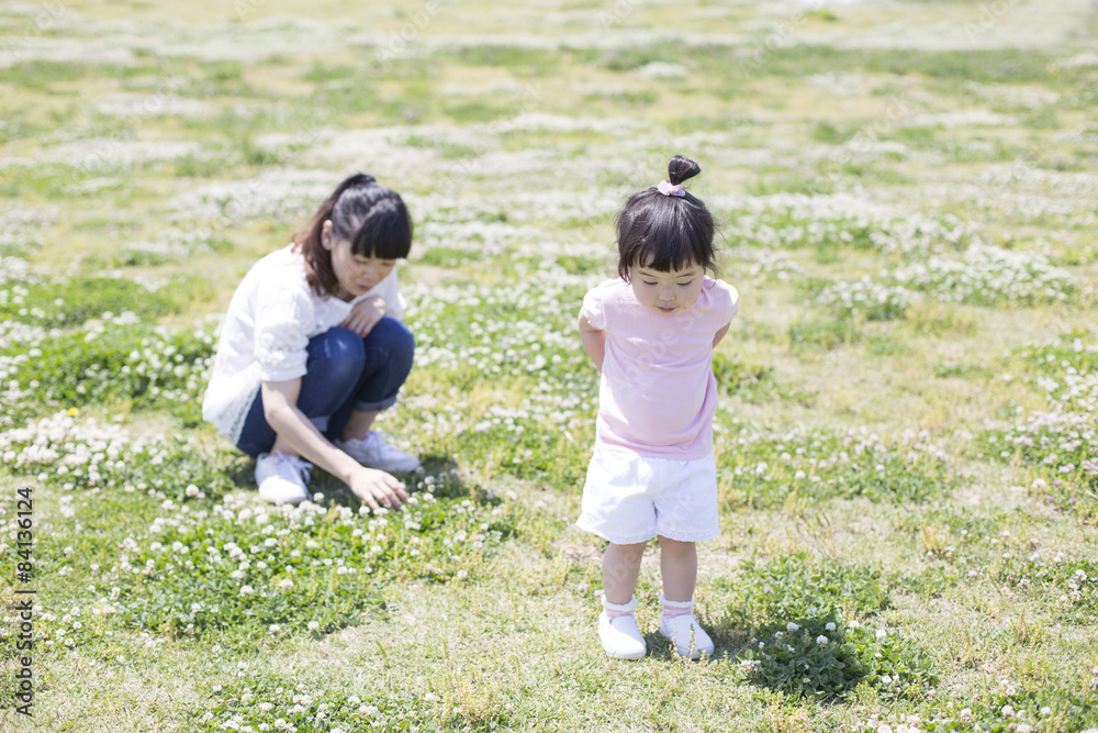 Fototapeta premium 探す