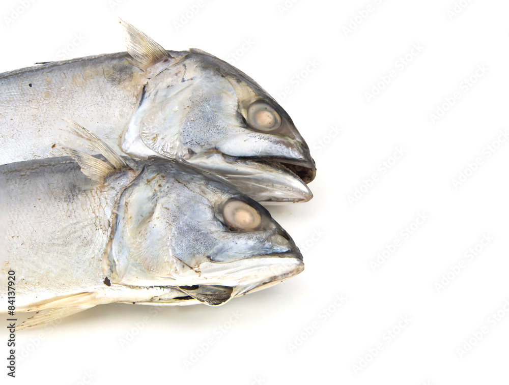 Close up 2 Head Mackerel fish in bamboo basket Isolated on white Close up 2 Head Mackerel fish in bamboo basket Isolated on white