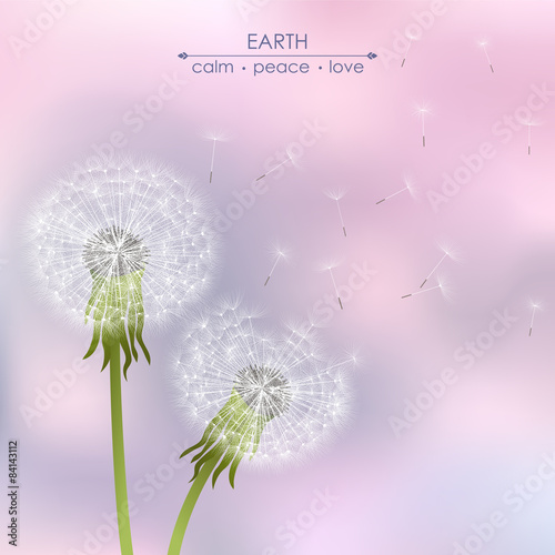 Fototapeta Naklejka Na Ścianę i Meble -  Spring dandelion flowers
