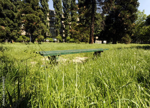 Abandoned bench surrounded by grass