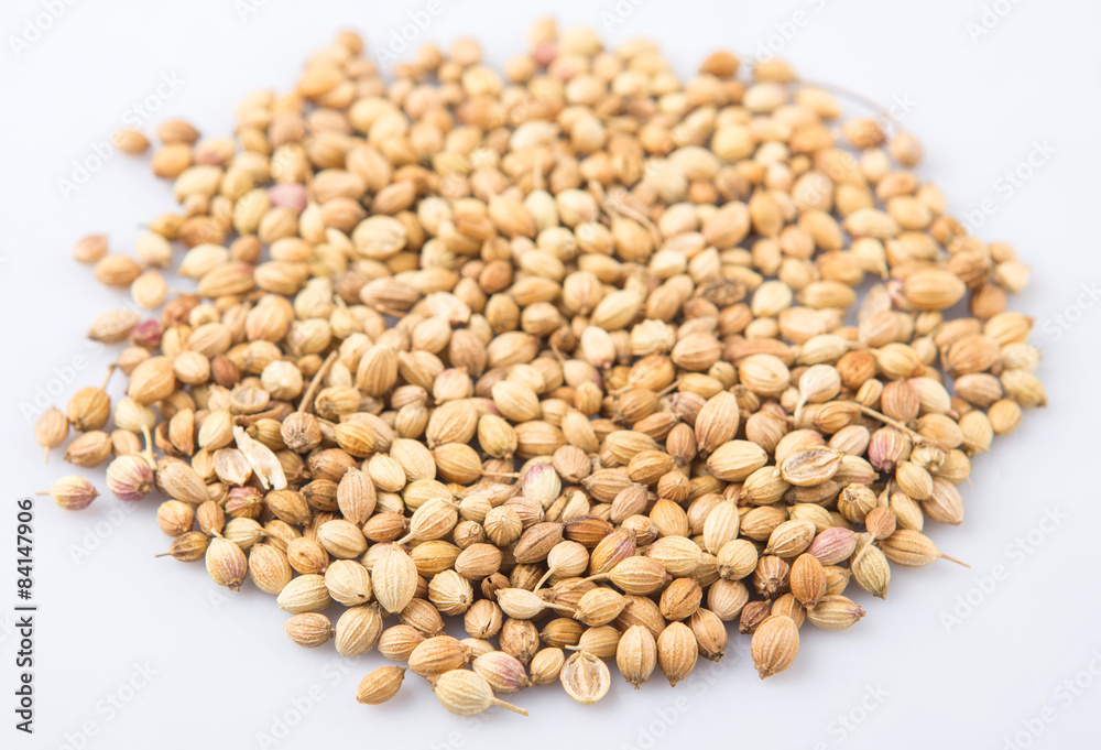 Coriander seed over white background Coriander seed over white background