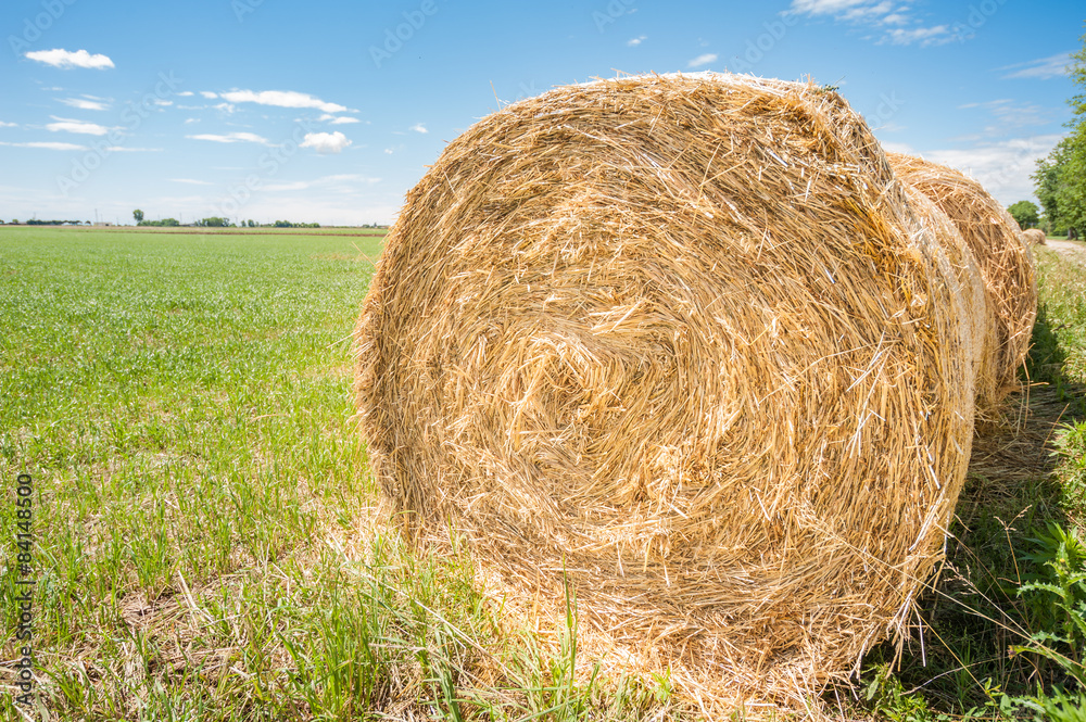 Hay bales. Hay bales.