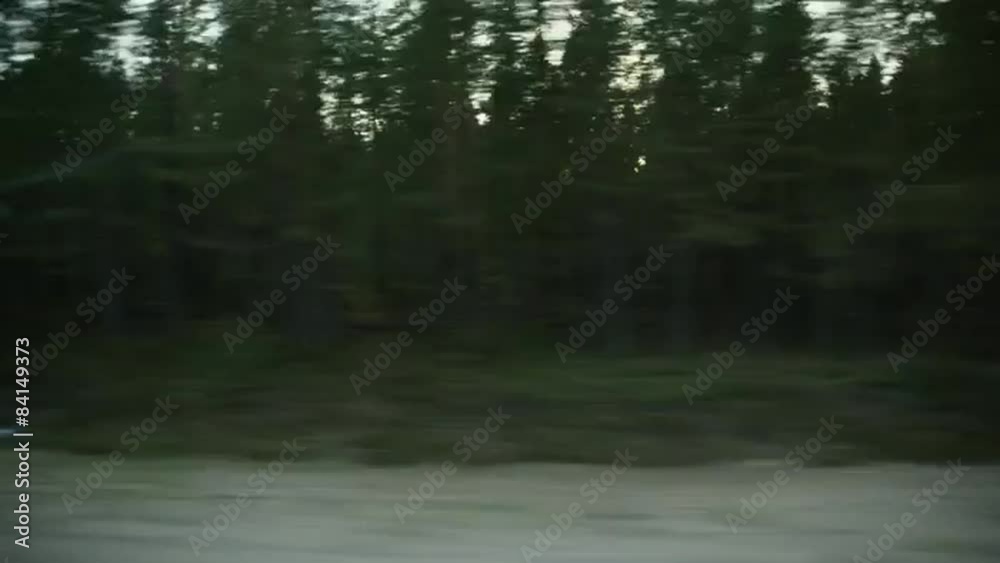 side view from car on b road of forest motion blur footage side view from car on b road of forest motion blur footage