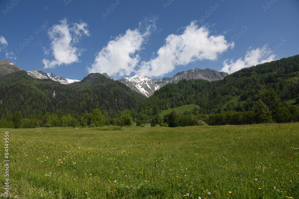 Fototapeta premium paesaggio verde montagna alpi cime 